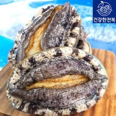 완도활전복 8-9미 1kg(마리당110g내외)(산소포장)[31561977]