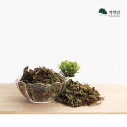 국산 박하 (저온건조) 50g 박하차 - SSG.COM