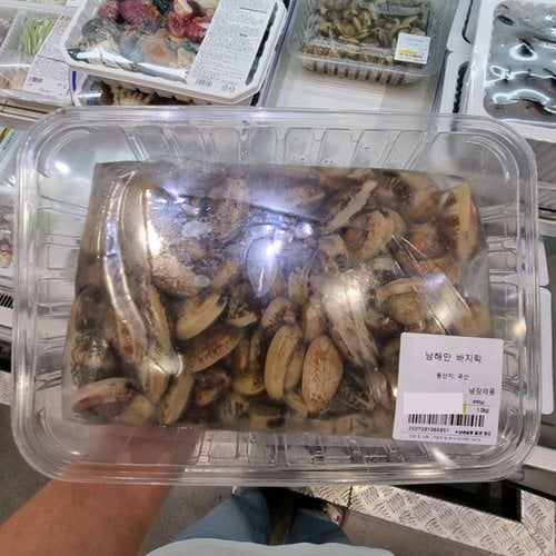 대표이미지