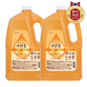 자연퐁 주방세제 오렌지 3.04L x 2개