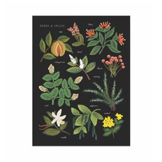 [Rifle Paper Co.] Herbs & Spices Charcoal Art Print 2 size