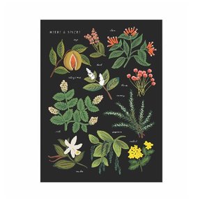 [Rifle Paper Co.] Herbs & Spices Charcoal Art Print 2 size