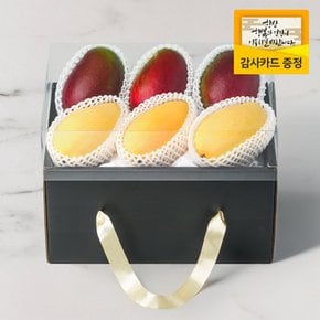 [명절이후 순차출고][산지직송] 쁘띠 6호 핸드캐리어 과일 선물세트 애망3입 골망3입 2.2kg (핸드캐리어형 박스)