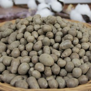 경상북도 안동 마씨앗 5kg 실중량