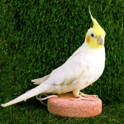 상품이미지1