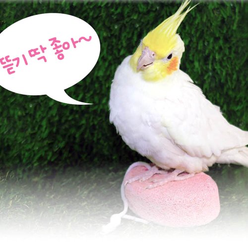 상품이미지5