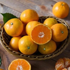 제주직송 하우스 감귤 1.5kg 쥬스용
