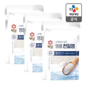 [본사배송] 백설 오천년의신비 명품천일염 중간입자 500g X 3개