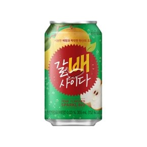 갈배사이다 355ml/ 40캔