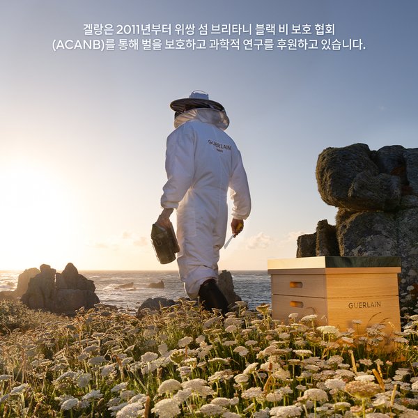 아베이 로얄 허니 카타플라즘 마스크 4X15G