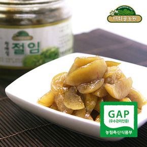 [광양매화골농원] 매실본가 청매실 절임 420g[33872696]