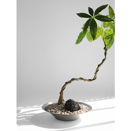 Add Image 6