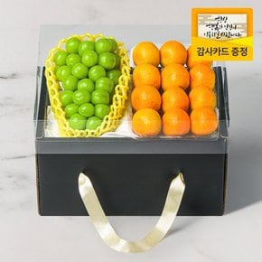 [명절이후 순차출고][산지직송] 쁘띠 3호 핸드캐리어 과일 선물세트 샤인1입 감귤1kg 1.6kg (핸드캐리어형 박스)