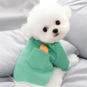 [펫 후크] 강아지옷 민트색 포켓속당근기모티셔츠 (S6362165)