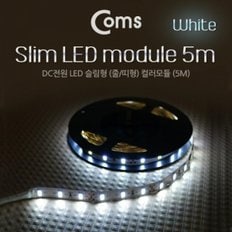 Coms LED 슬림형(줄 띠형) DC전원 슬림 LED 5M 투명