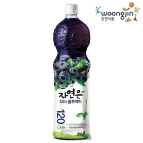 자연은 블루베리 주스 1.5 X 1개입 쥬스