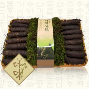 [바로배송][부여인삼]향이진한 더덕 선물세트 1.2kg(16~20뿌리)