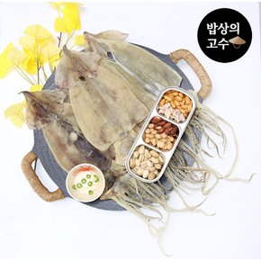 국산 당일바리 마른오징어 10미 포항 구룡포 동해안 750g