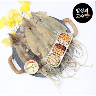  국산 당일바리 마른오징어 10미 포항 구룡포 동해안 750g