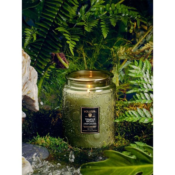 템플모스 L 글라스 캔들 18oz(510g)