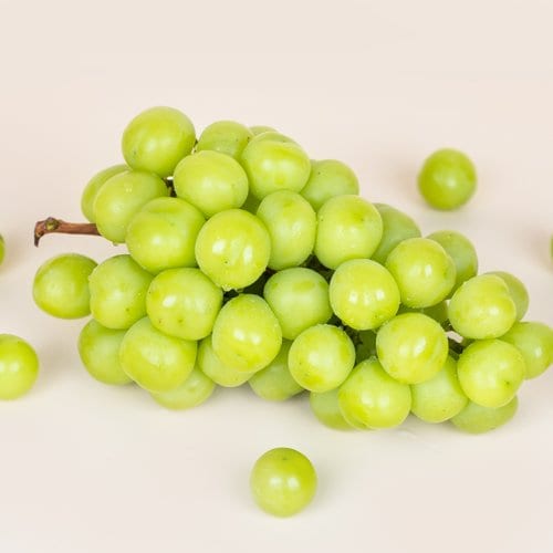 상품이미지5