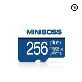 MicroSDXC UHS-I Class10 TLC 256GB