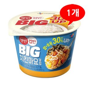 (7206177) 햇반 컵반 BIG 치킨마요덮밥 313g