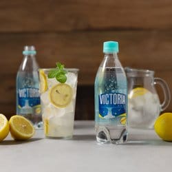 빅토리아 레몬 500ml *20입