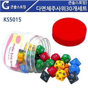 러닝리소스 큰솔스토밍 다면체 주사위 30개 세트 KS50