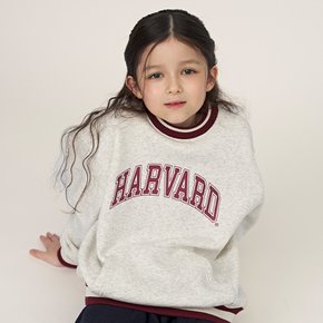 캥거루 포켓 기모 맨투맨 B5W001