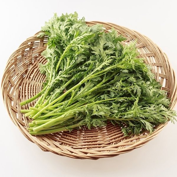 확대된 대표 image1