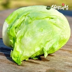  식탐대첩 국내산 신선한 양상추 4통 개당450-600g