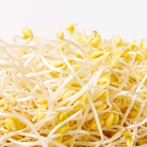 국내산 아삭한 산소 콩나물 1kg