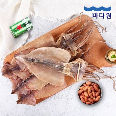 바다원 동해안 건조오징어 10미 (600g) 국내산