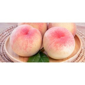 제철 말랑이 백도복숭아 4kg (특대과/12-14과내외)