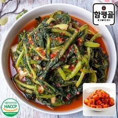  [함평골김치] 감칠맛이 풍부한 전라도 열무김치3kg+깍두기2kg