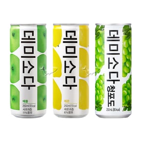 데미소다 250ml 애플/ 5캔+레몬/ 5캔+청포도/ 5캔 총15캔