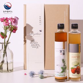 국산 저온압착 들기름 사과식초 300ml 2병 선물세트  농부플러스