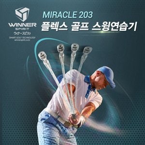 위너스피릿 골프 스윙 연습기 임팩트 스윙스피드 체커 스윙기 연습용품 기구