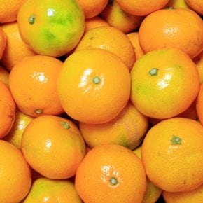달콤한 제주 하우스 감귤 1kg