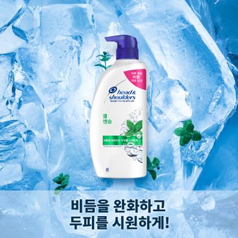 헤드앤숄더 P&G 헤드앤숄더 최대~ 1+1