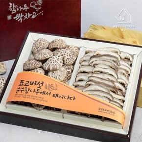 GAP인증 표고버섯 백화고 2종세트(백화고230g,슬라이스150g)