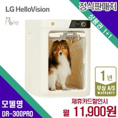 렌탈 페페 펫드라이기 애견 미용 펫 드라이룸 화이트 셀프목욕 DR-300PRO 5년 24900