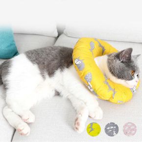 딩동이네 강아지 고양이 쿠션 넥카라 깔대기 옵션 3