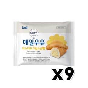 매일우유 커스터드크림 소금빵 베이커리빵 95g x 9개