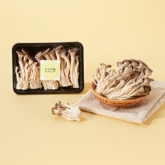  친환경 느타리버섯 200g