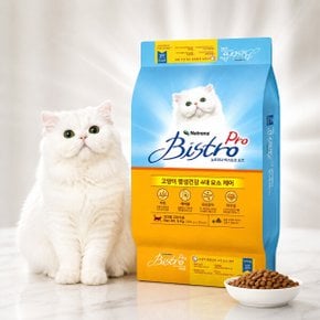 비스트로 프로 고양이사료 6kg (300gx20개) 전연령 묘사료 길고양이 대용량 헤어볼 코스트코