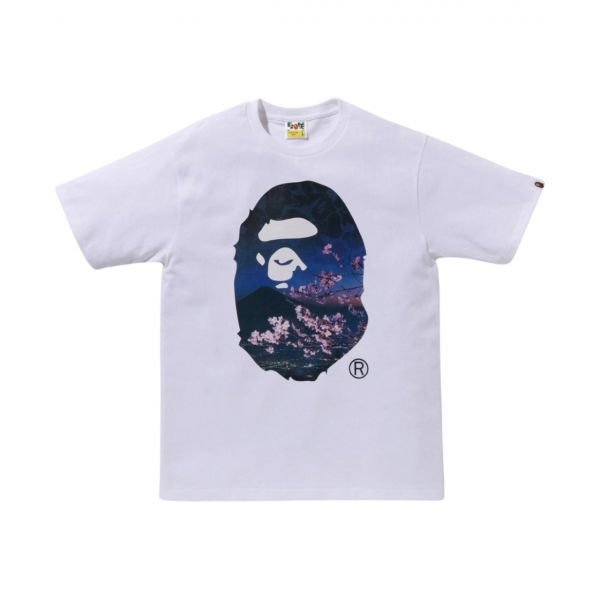 확대된 대표 https://tmg1927.cafe24.com/mall/admin/shop/download_image/20240921/1070146.jpg