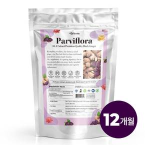 1개 파비플로라 벌크 파우더 흑생강 파피플로라 10배농축 가루 분말 200g