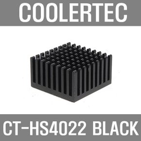 쿨러텍 CT-HS4022 BLACK 칩셋방열판